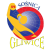 Logo Sośnica Gliwice